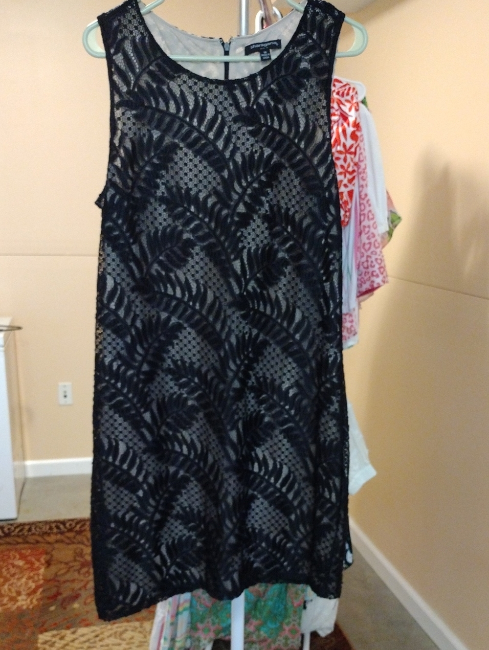Sharagano Black Lace Overlay Dress with Neutral Lining